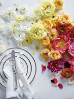 The One Registry Collective allows customers to create a registry featuring products from Williams Sonoma, Pottery Barn, West Elm and Pottery Barn Kids (Photo: Business Wire)