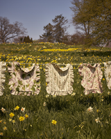 New Floral Pillow Covers from the New York Botanical Garden's new Collaboration with GreenRow