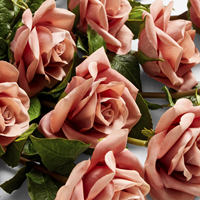Jeff Leatham Launches New Collection of Real Touch Floral Arrangements with Williams Sonoma (Photo: Williams Sonoma)