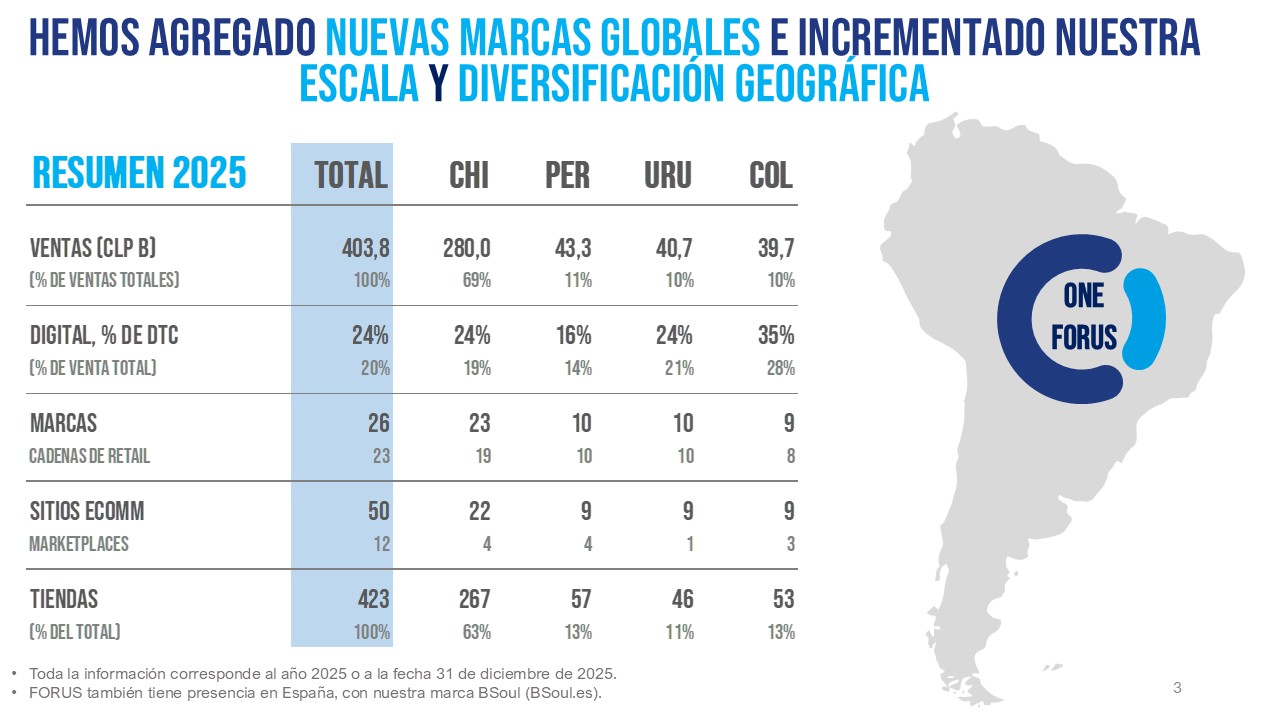 2024 regional sales snapshot showing totals, digital sales percentages, brands, e-commerce sites, and store counts across South America.