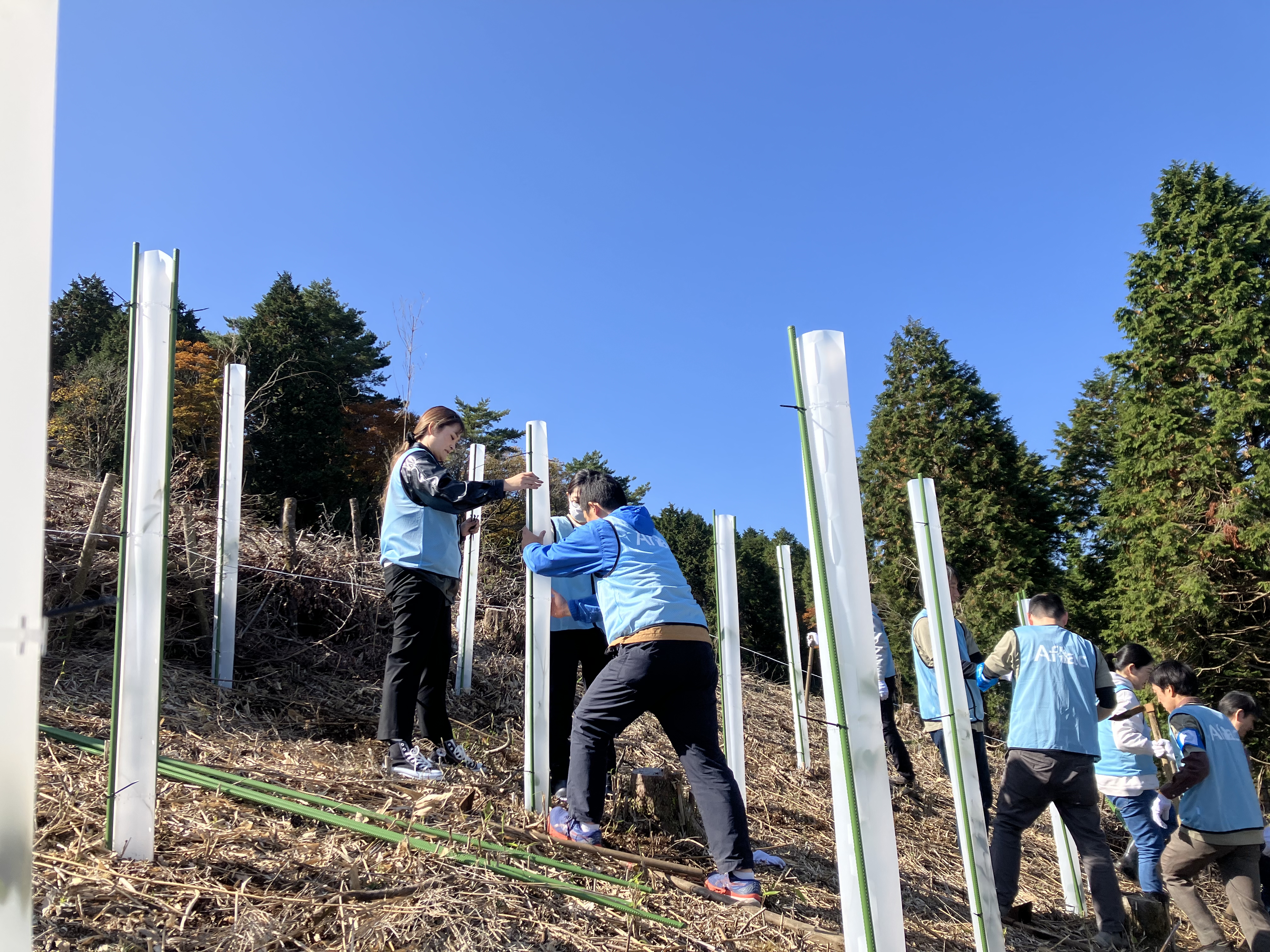 A group of Aflac employees planting trees