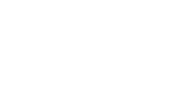 TDS Telecom