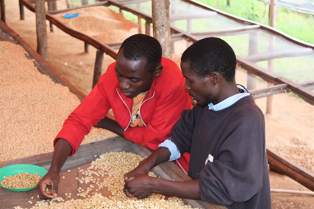 Keurig Green Mountain, Inc. Green Mountain Coffee Releases Spring